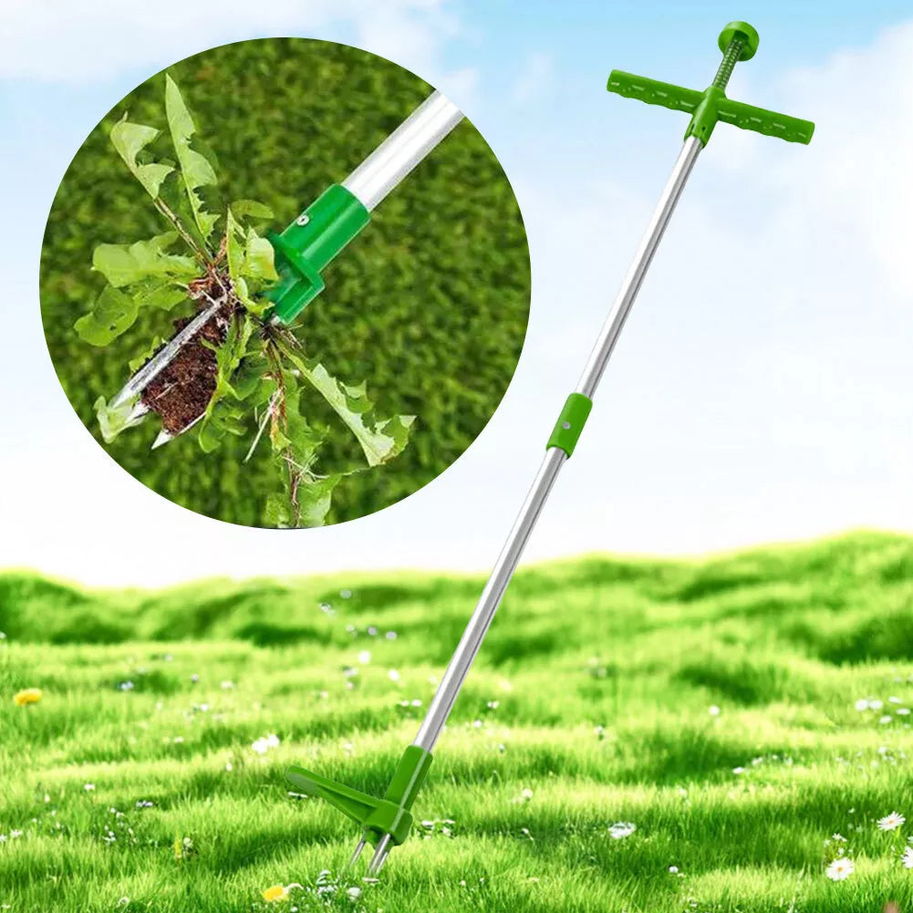 Pristogo™ | Vakre hage for sommeren!